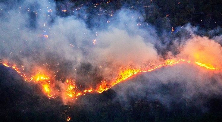 Banks ready to help those affected by devastating bushfires