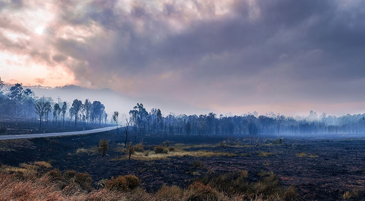 Banks can help when bushfires hit