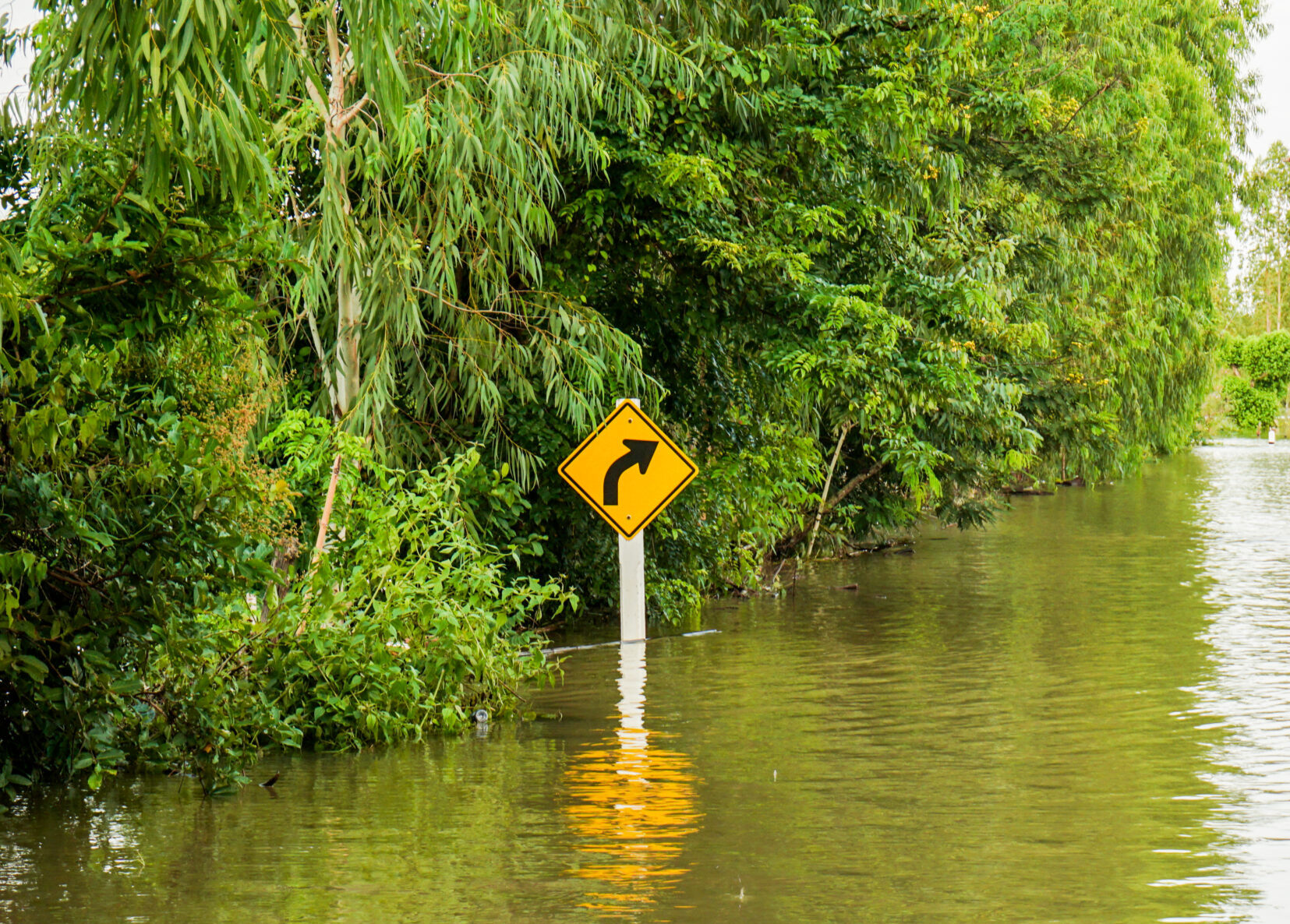 Banks stand ready to support cyclone-impacted communities in Far North Queensland 