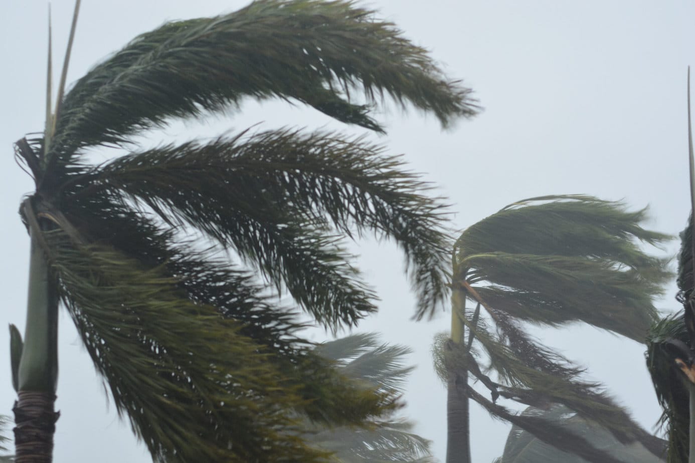 Banks hardship teams on standby to help cyclone-impacted communities in Queensland 